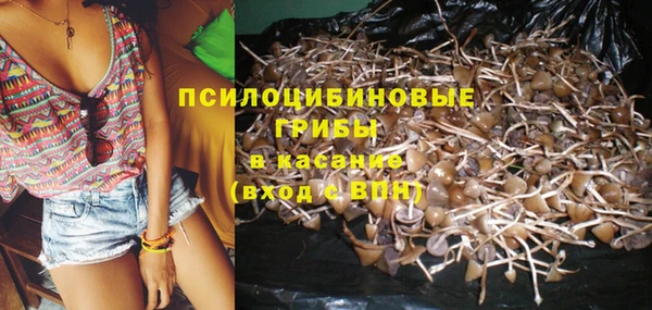 ГАЛЛЮЦИНОГЕННЫЕ ГРИБЫ Гусев