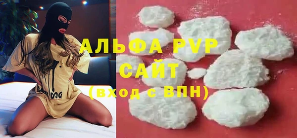 прущие грибы Гусиноозёрск