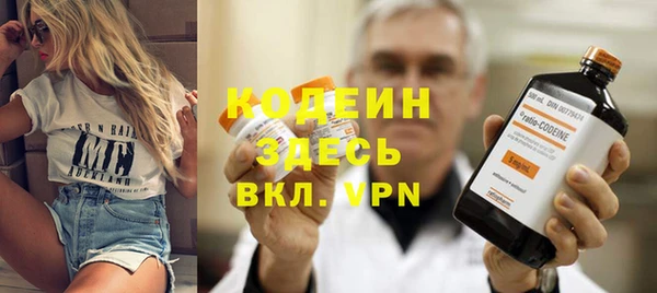 ГАЛЛЮЦИНОГЕННЫЕ ГРИБЫ Гусев