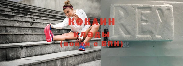 ГАЛЛЮЦИНОГЕННЫЕ ГРИБЫ Гусев