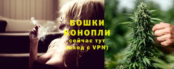 прущие грибы Гусиноозёрск