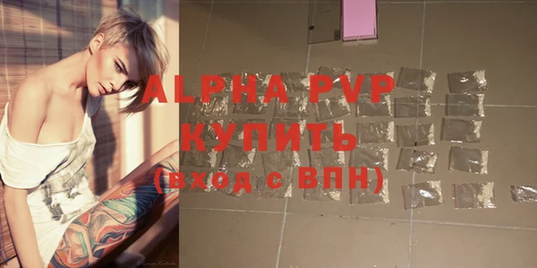 ГАЛЛЮЦИНОГЕННЫЕ ГРИБЫ Гусев