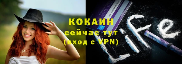 прущие грибы Гусиноозёрск