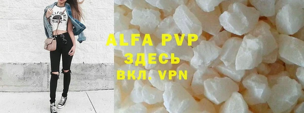 прущие грибы Гусиноозёрск