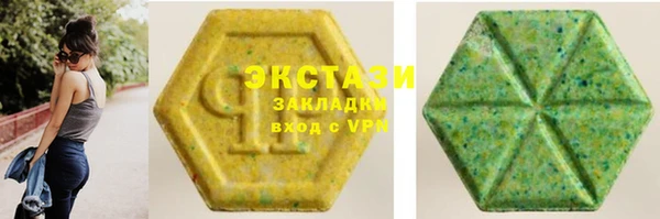 прущие грибы Гусиноозёрск