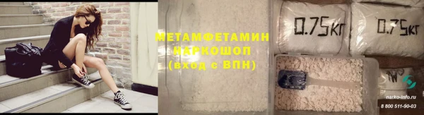 прущие грибы Гусиноозёрск