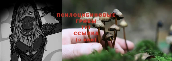 ГАЛЛЮЦИНОГЕННЫЕ ГРИБЫ Гусев
