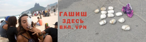 прущие грибы Гусиноозёрск