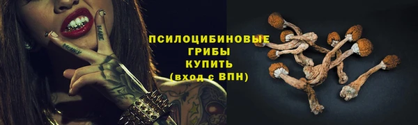 MESCALINE Гусь-Хрустальный