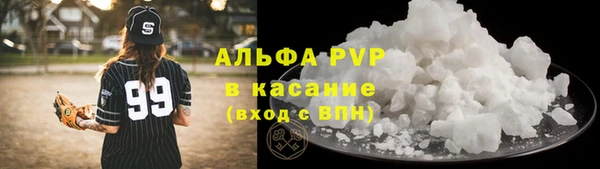 прущие грибы Гусиноозёрск