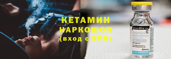 прущие грибы Гусиноозёрск