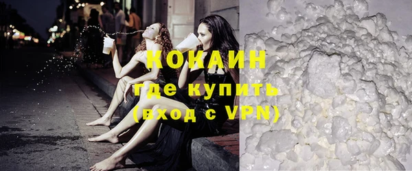 ГАЛЛЮЦИНОГЕННЫЕ ГРИБЫ Гусев