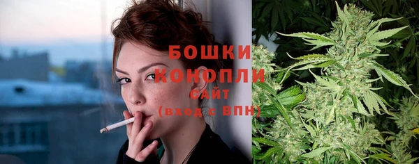 прущие грибы Гусиноозёрск