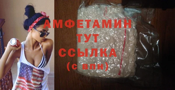 прущие грибы Гусиноозёрск