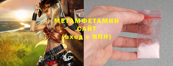 прущие грибы Гусиноозёрск