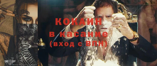 прущие грибы Гусиноозёрск
