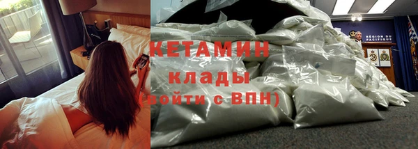прущие грибы Гусиноозёрск