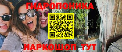 сатива Коммунар
