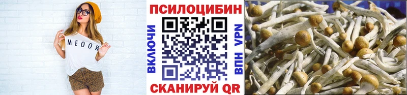 даркнет сайт  Назарово  Псилоцибиновые грибы Psilocybe 