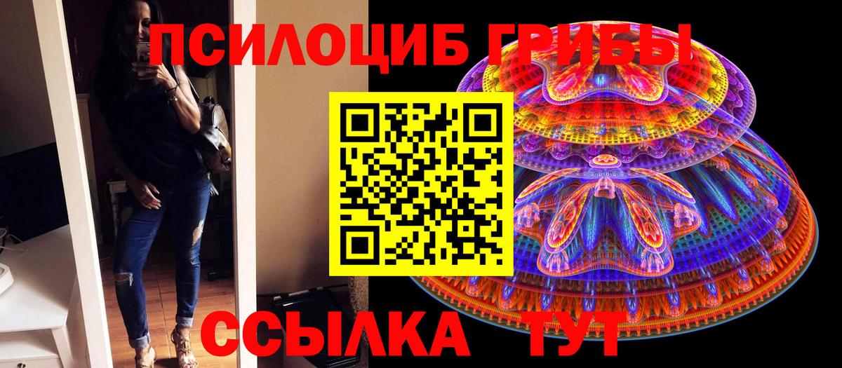 Псилоцибиновые грибы Cubensis  Галлюциногенные грибы Psilocybine cubensis  Назарово 