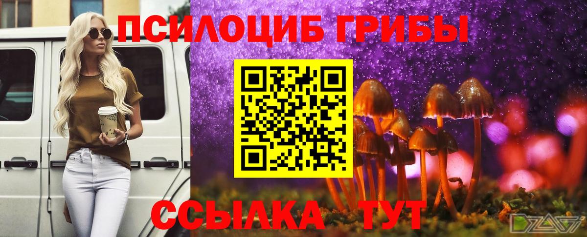 Псилоцибиновые грибы MAGIC MUSHROOMS Назарово