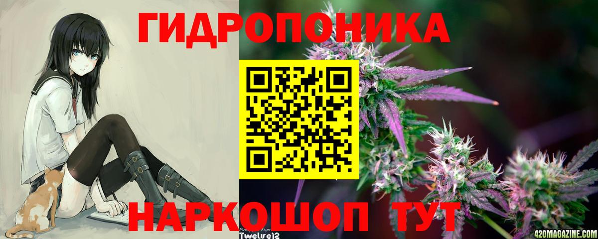 Каннабис OG Kush Назарово
